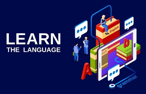 کاربرد can't و must