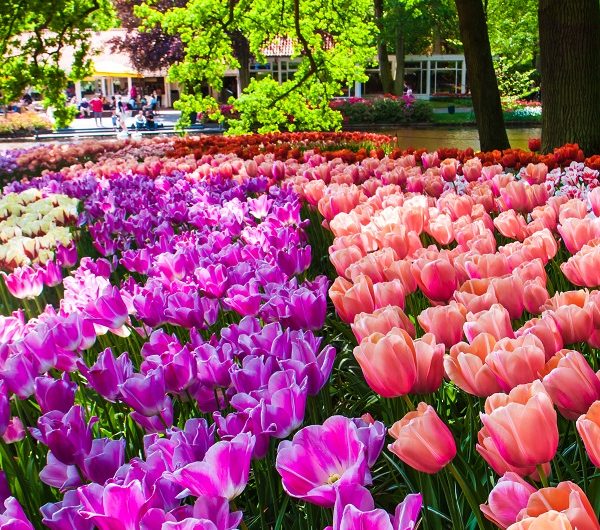 IELTS Cue Card شماره 19