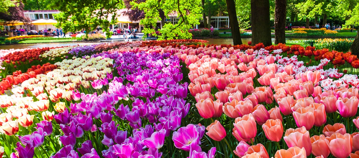 IELTS Cue Card شماره 19 : توصیف یک مکان رنگی و به یاد ماندنی