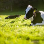 آیلتس کیوکارد IELTS Cue Card شماره 71