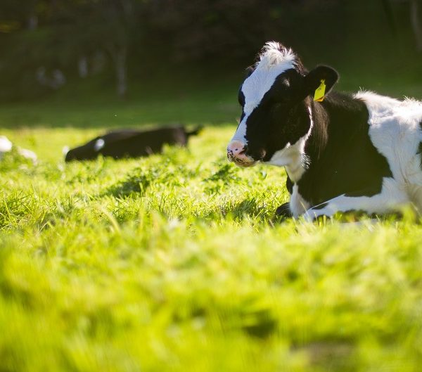 آیلتس کیوکارد IELTS Cue Card شماره 71