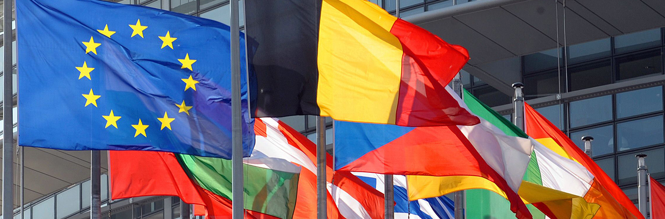 زبان های رسمی در اتحادیه اروپا و تسلط کشورها به انواع زبان ها زبان های رسمی در اتحادیه اروپا و تسلط کشورها به انواع زبان ها