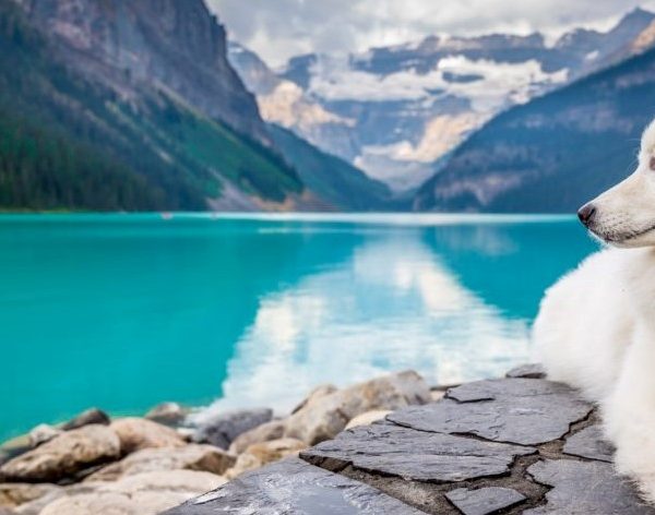 انواع اسم ها در انگلیسی