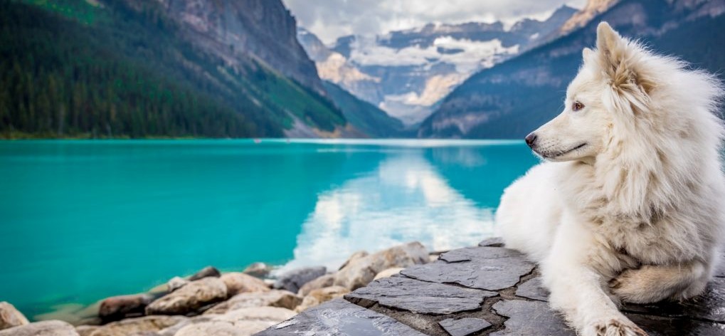 انواع اسم های انگلیسی که باید بدانید همراه با مثال انواع اسم های انگلیسی که باید بدانید همراه با مثال